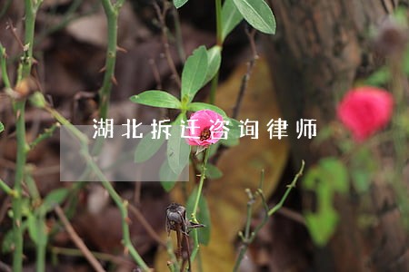 湖北拆迁咨询律师 湖北拆迁咨询律师