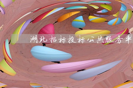 湖北招标投标公共服务平台