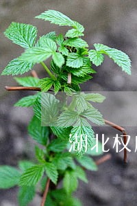 湖北权威司法鉴定中心