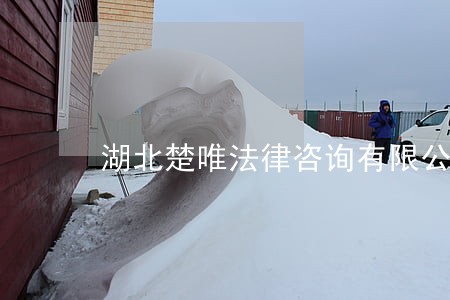 湖北楚唯法律咨询有限公司 湖北楚唯法律咨询有限公司