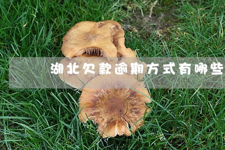 湖北欠款逾期方式有哪些
