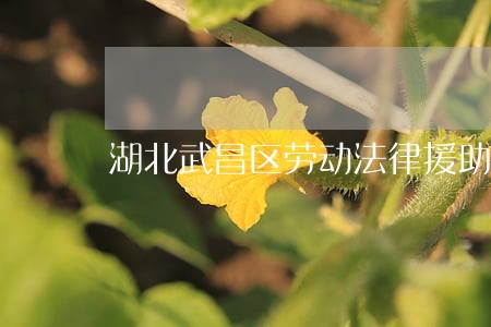 湖北武昌区劳动法律援助中心