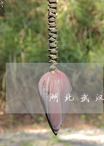 湖北武汉专业离婚律师