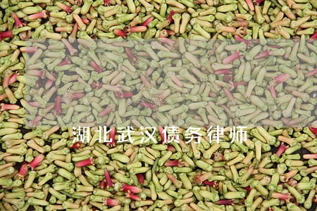 湖北武汉债务律师 湖北武汉债务律师