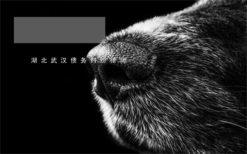 湖北武汉债务纠纷律师 湖北武汉债务纠纷律师