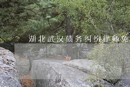 湖北武汉债务纠纷律师免费咨询 湖北武汉债务纠纷律师免费咨询