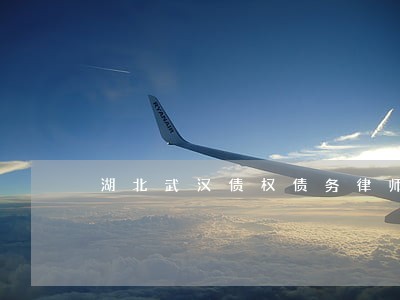 湖北武汉债权债务律师电话咨询 湖北武汉债权债务律师电话咨询