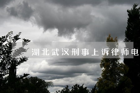 湖北武汉刑事上诉律师电话 湖北武汉刑事上诉律师电话