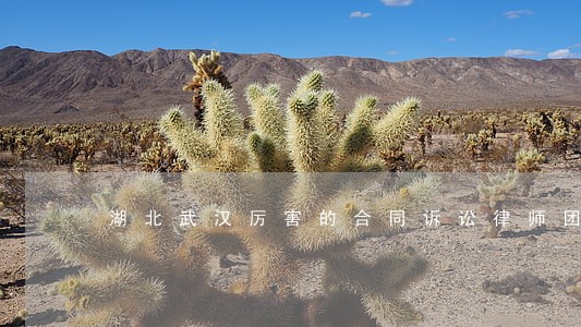 湖北武汉厉害的合同诉讼律师团队 湖北武汉厉害的合同诉讼律师团队