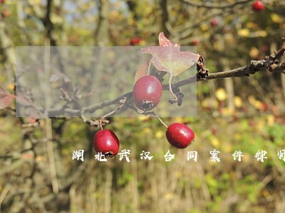 湖北武汉合同案件律师 湖北武汉合同案件律师