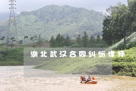 湖北武汉合同纠纷律师 湖北武汉合同纠纷律师