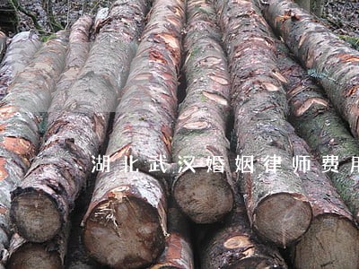 湖北武汉婚姻律师费用 湖北武汉婚姻律师费用