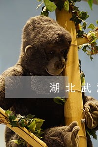 湖北武汉婚姻房产律师 湖北武汉婚姻房产律师