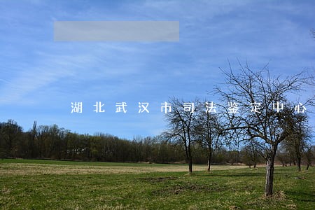 湖北武汉市司法鉴定中心在哪里 湖北武汉市司法鉴定中心在哪里