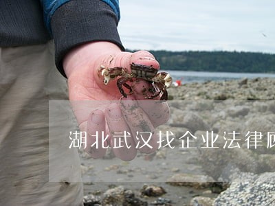 湖北武汉找企业法律顾问 湖北武汉找企业法律顾问