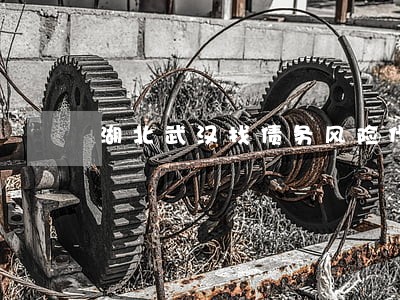 湖北武汉找债务风险代理律师 湖北武汉找债务风险代理律师