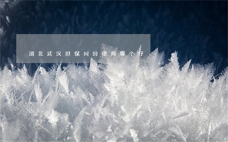 湖北武汉担保纠纷律师哪个好 湖北武汉担保纠纷律师哪个好