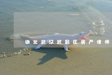 湖北武汉武昌区房产律师