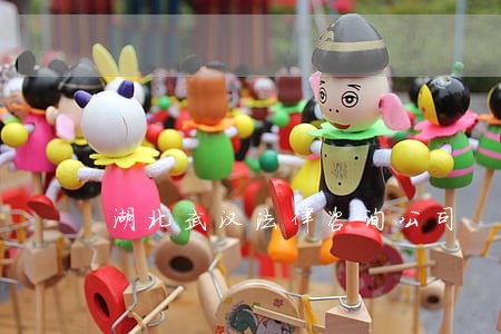 湖北武汉法律咨询公司 湖北武汉法律咨询公司