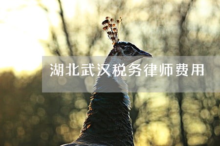 湖北武汉税务律师费用 湖北武汉税务律师费用