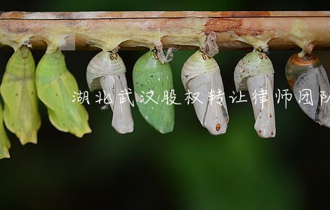 湖北武汉股权转让律师团队 湖北武汉股权转让律师团队