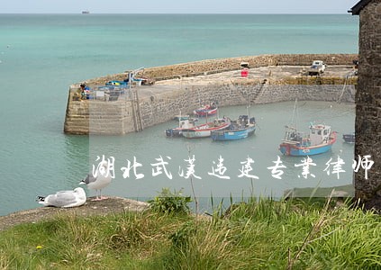 湖北武汉违建专业律师 湖北武汉违建专业律师