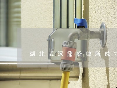 湖北武汉鼎盛律所说立案有逾期 湖北武汉鼎盛律所说立案有逾期