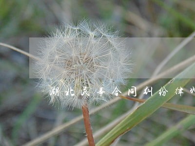 湖北民事合同纠纷律师 湖北民事合同纠纷律师