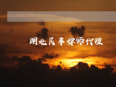 湖北民事律师代理 湖北民事律师代理