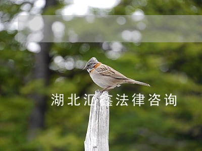 湖北汇鑫法律咨询 湖北汇鑫法律咨询