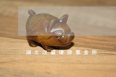 湖北汉襄律师事务所 湖北汉襄律师事务所