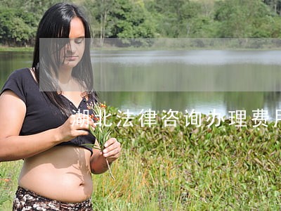湖北法律咨询办理费用 湖北法律咨询办理费用