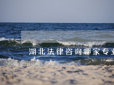 湖北法律咨询哪家专业 湖北法律咨询哪家专业