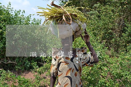 湖北法律咨询首页