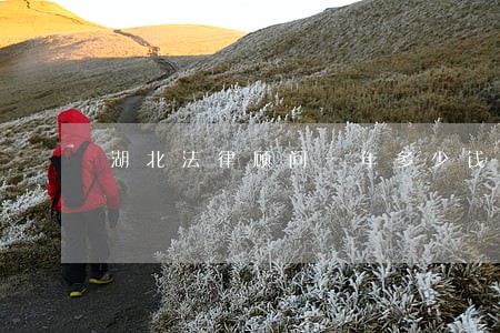 湖北法律顾问一年多少钱 湖北法律顾问一年多少钱