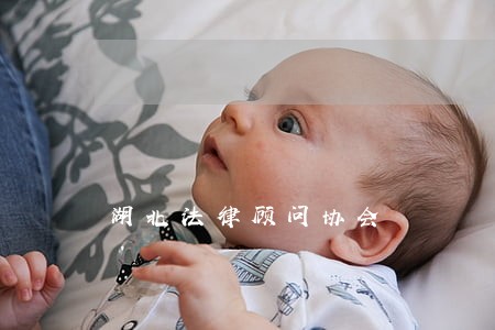 湖北法律顾问协会 湖北法律顾问协会
