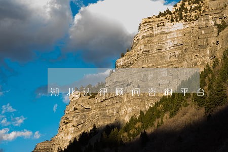湖北法律顾问咨询平台 湖北法律顾问咨询平台