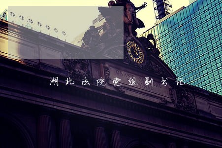 湖北法院党组副书记 湖北法院党组副书记