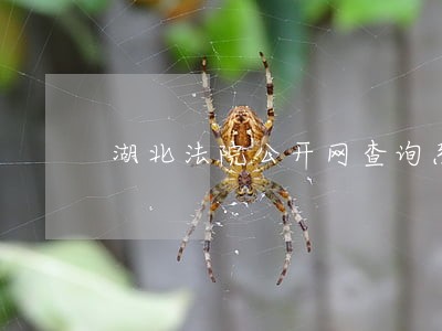 湖北法院公开网查询系统
