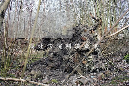 湖北法院判决查询