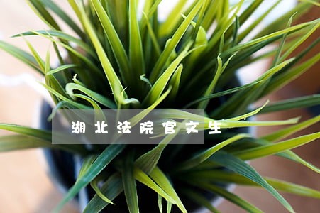 湖北法院官文生 湖北法院官文生