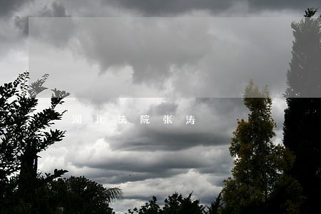 湖北法院张涛 湖北法院张涛