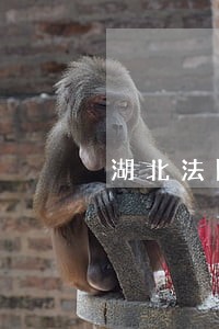 湖北法院执结率高 湖北法院执结率高