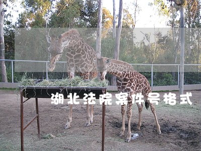 湖北法院案件号格式