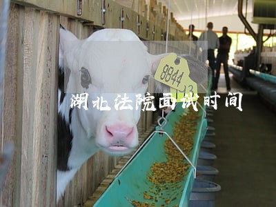 湖北法院面试时间 湖北法院面试时间