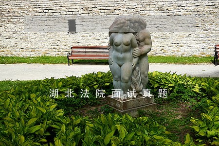 湖北法院面试真题