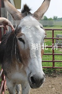 湖北消费逾期几天逾期费几百 湖北消费逾期几天逾期费几百