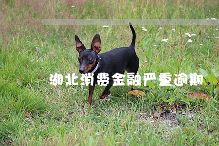 湖北消费金融严重逾期 湖北消费金融严重逾期
