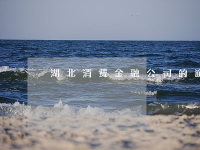 湖北消费金融公司的逾期处理方法 湖北消费金融公司的逾期处理方法