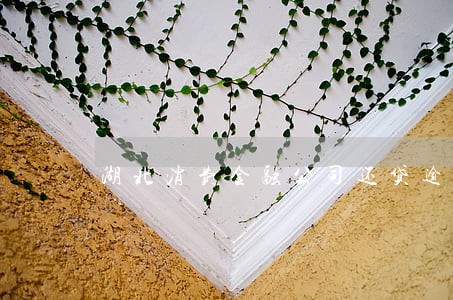 湖北消费金融公司还贷逾期 湖北消费金融公司还贷逾期
